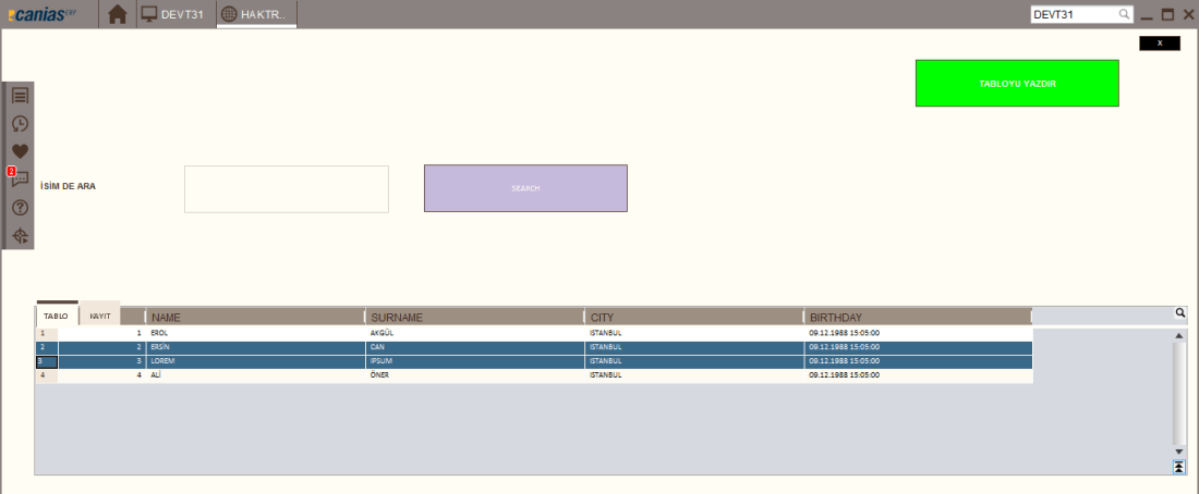 10_seçili satırlar.PNG